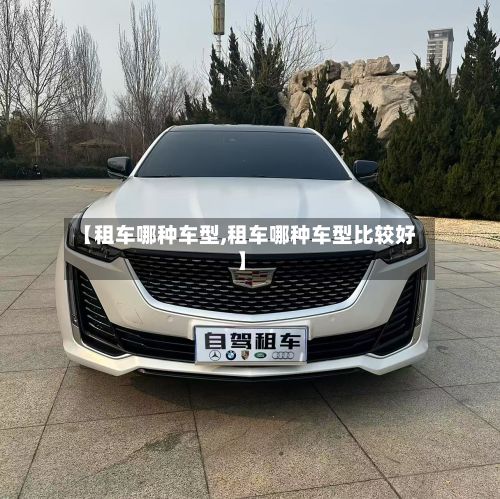 【租车哪种车型,租车哪种车型比较好】