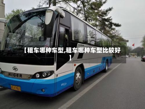 【租车哪种车型,租车哪种车型比较好】-第2张图片