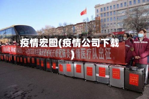 疫情宏图(疫情公司下载)