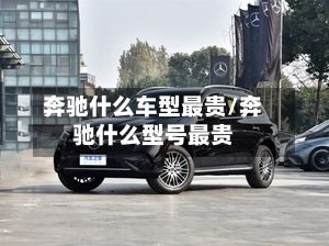 奔驰什么车型最贵/奔驰什么型号最贵-第2张图片