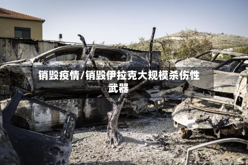 销毁疫情/销毁伊拉克大规模杀伤性武器
