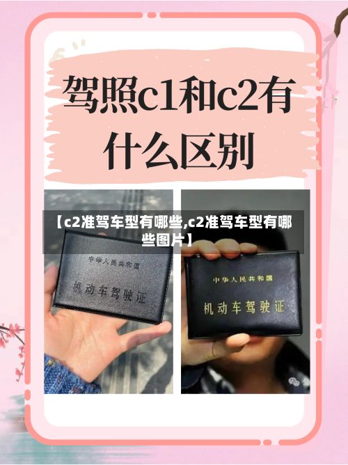 【c2准驾车型有哪些,c2准驾车型有哪些图片】