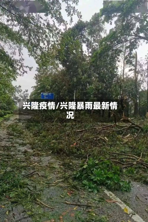 兴隆疫情/兴隆暴雨最新情况-第3张图片