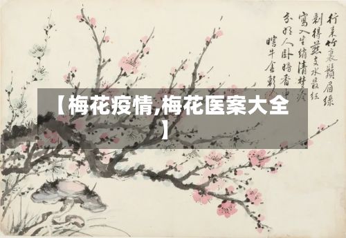 【梅花疫情,梅花医案大全】-第2张图片
