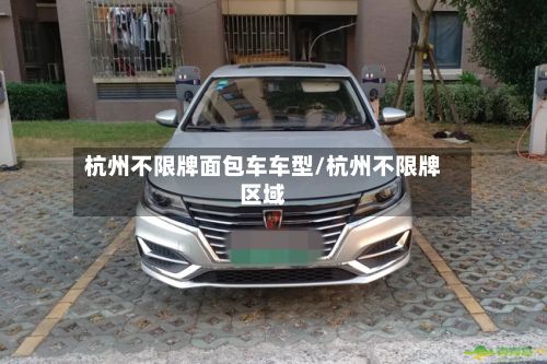杭州不限牌面包车车型/杭州不限牌区域