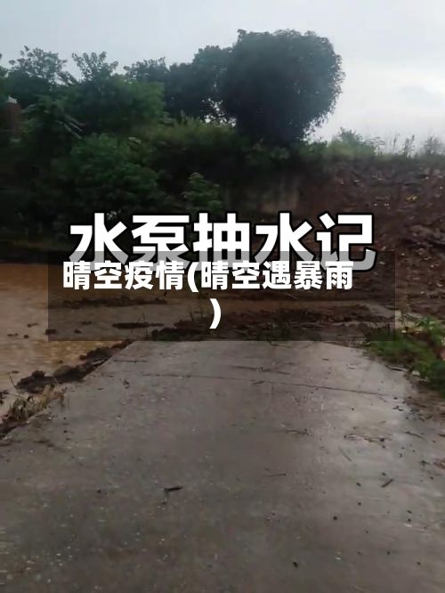 晴空疫情(晴空遇暴雨)