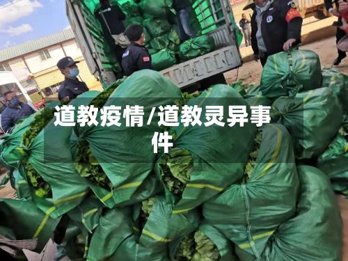 道教疫情/道教灵异事件