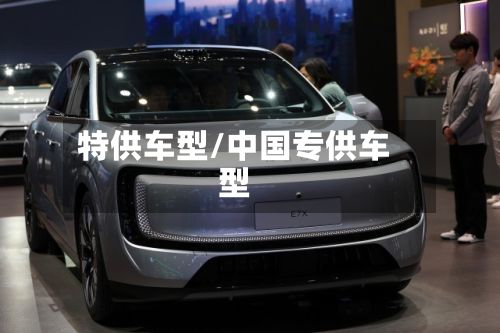 特供车型/中国专供车型