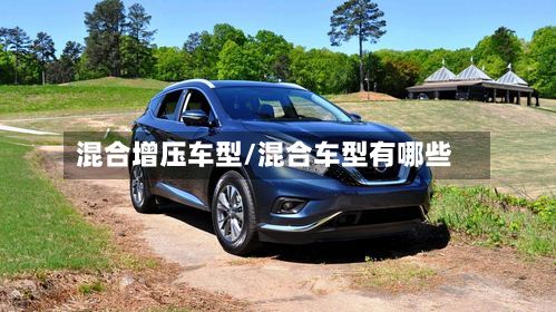 混合增压车型/混合车型有哪些