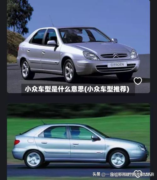小众车型是什么意思(小众车型推荐)