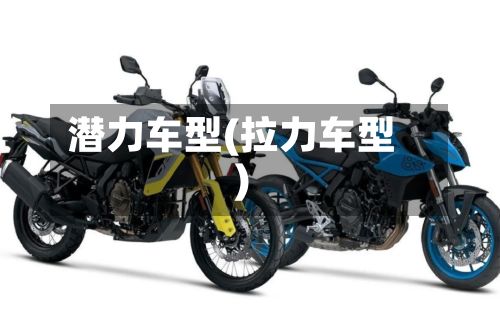 潜力车型(拉力车型)-第3张图片