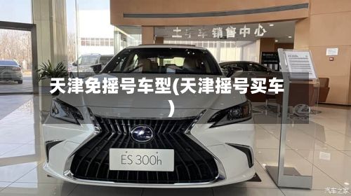 天津免摇号车型(天津摇号买车)