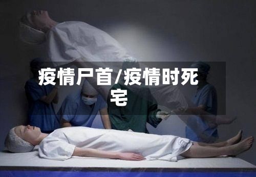 疫情尸首/疫情时死宅-第2张图片