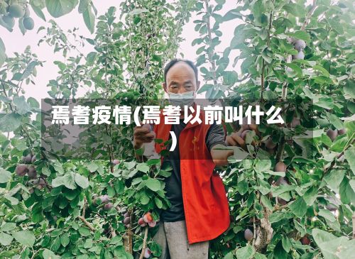 焉耆疫情(焉耆以前叫什么)