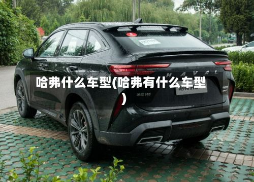 哈弗什么车型(哈弗有什么车型)