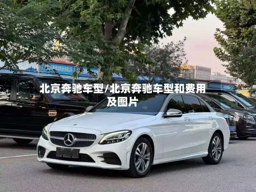 北京奔驰车型/北京奔驰车型和费用及图片-第3张图片