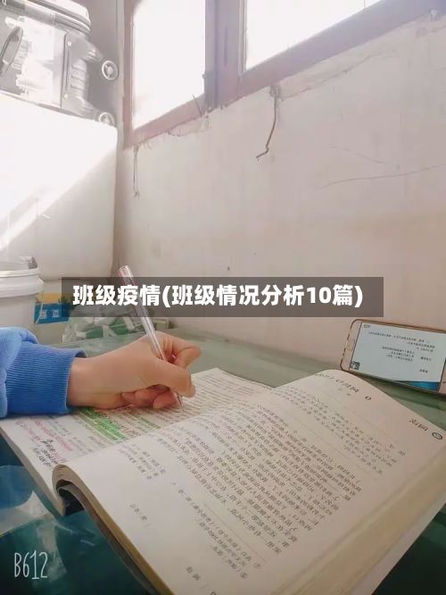班级疫情(班级情况分析10篇)