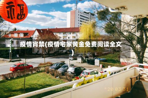疫情宵禁(疫情宅家黄金免费阅读全文)