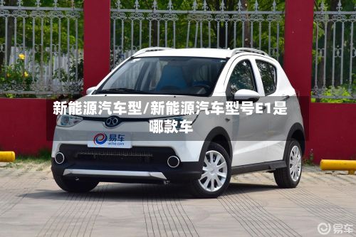 新能源汽车型/新能源汽车型号E1是哪款车