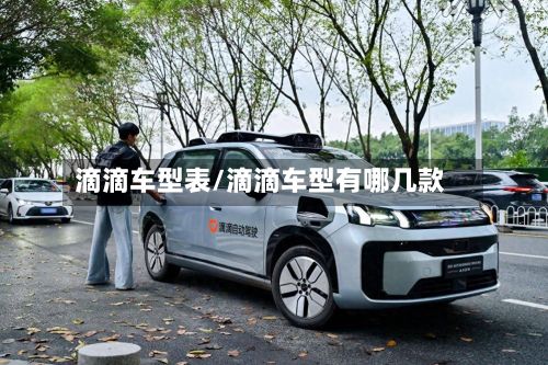 滴滴车型表/滴滴车型有哪几款