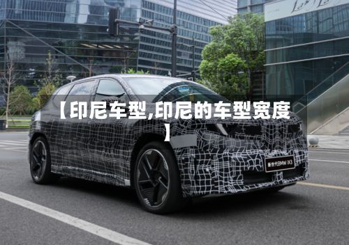 【印尼车型,印尼的车型宽度】-第2张图片