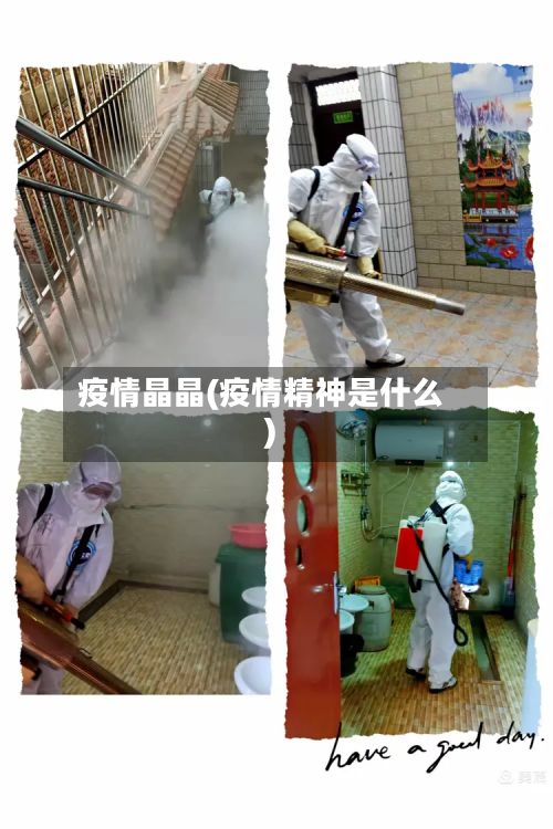 疫情晶晶(疫情精神是什么)