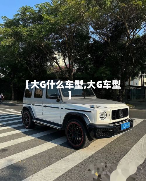 【大G什么车型,大G车型】-第2张图片