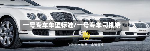 一号专车车型标准/一号专车司机端
