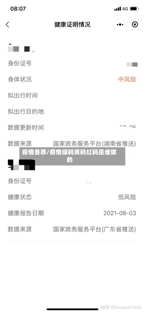 疫情鲁莽/疫情绿码黄码红码是谁做的
