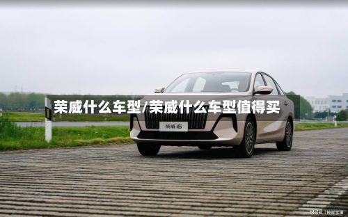 荣威什么车型/荣威什么车型值得买