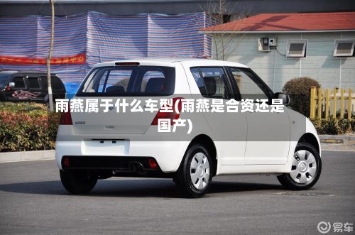 雨燕属于什么车型(雨燕是合资还是国产)