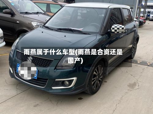 雨燕属于什么车型(雨燕是合资还是国产)-第2张图片