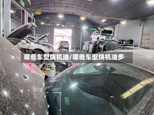 哪些车型烧机油/哪些车型烧机油多-第2张图片