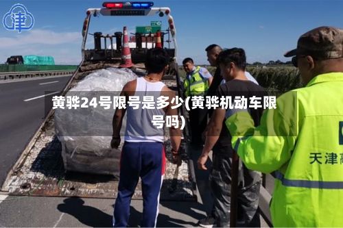 黄骅24号限号是多少(黄骅机动车限号吗)