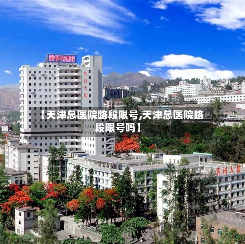 【天津总医院路段限号,天津总医院路段限号吗】-第3张图片