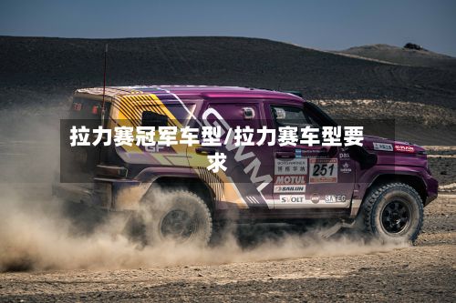 拉力赛冠军车型/拉力赛车型要求-第3张图片