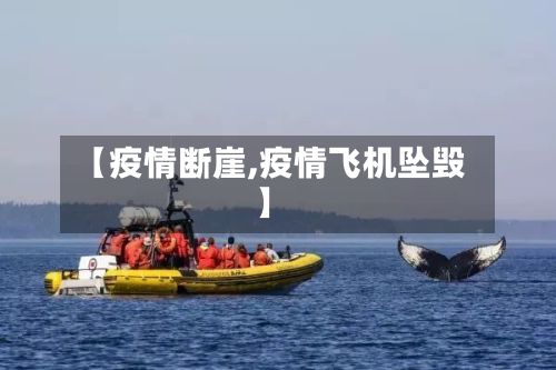 【疫情断崖,疫情飞机坠毁】-第3张图片
