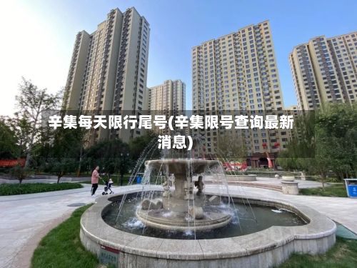 辛集每天限行尾号(辛集限号查询最新消息)-第2张图片