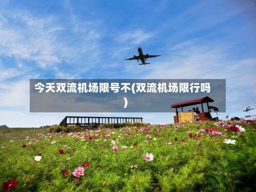 今天双流机场限号不(双流机场限行吗)-第3张图片