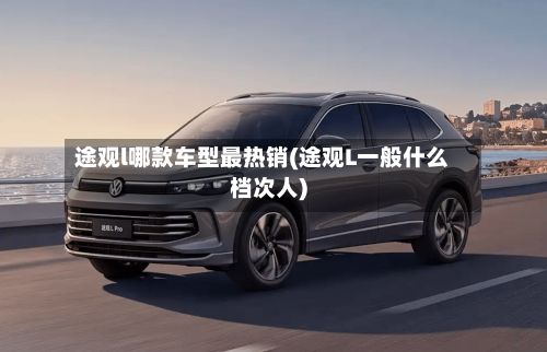 途观l哪款车型最热销(途观L一般什么档次人)-第2张图片