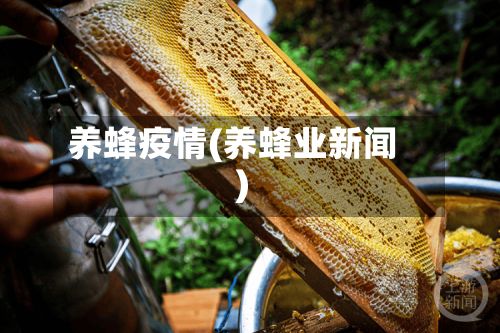 养蜂疫情(养蜂业新闻)