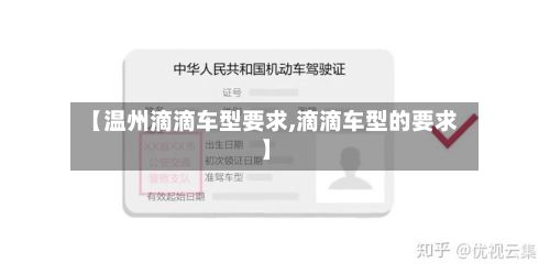 【温州滴滴车型要求,滴滴车型的要求】-第3张图片
