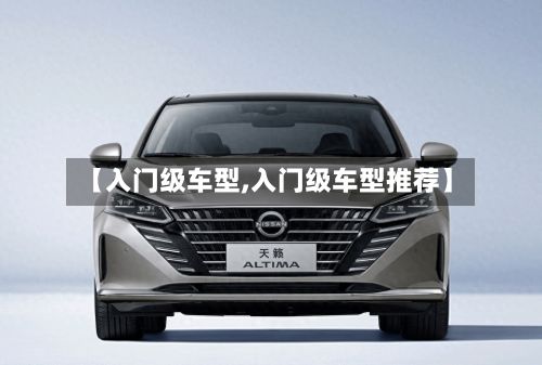 【入门级车型,入门级车型推荐】-第2张图片