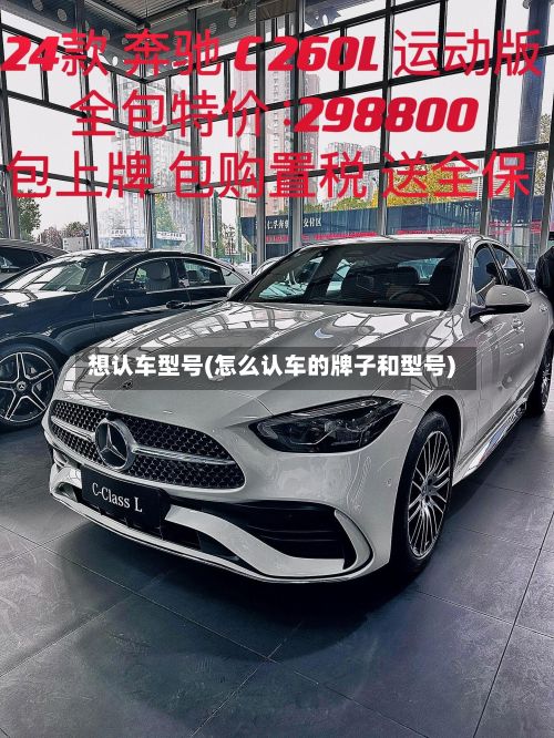 想认车型号(怎么认车的牌子和型号)