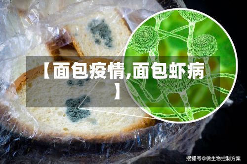 【面包疫情,面包虾病】-第3张图片