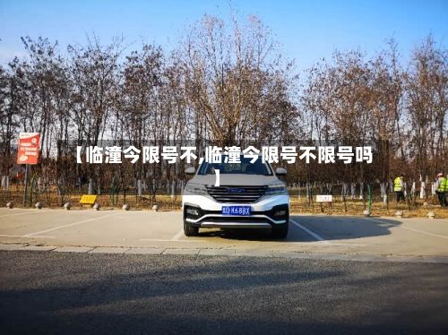 【临潼今限号不,临潼今限号不限号吗】