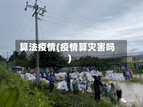 算法疫情(疫情算灾害吗)-第2张图片