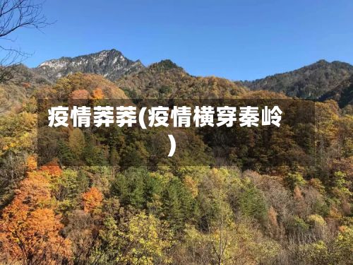 疫情莽莽(疫情横穿秦岭)