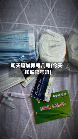 明天聊城限号几号(今天聊城限号吗)-第3张图片