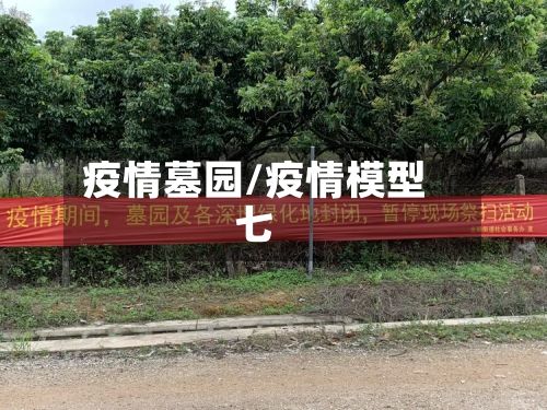 疫情墓园/疫情模型七-第2张图片